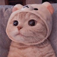 NEMO LAI