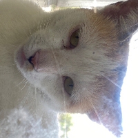 旋轉跳躍💃🏼