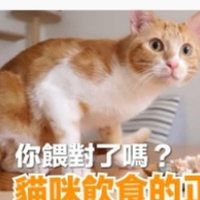 李佳恩