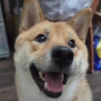 麻糬舒