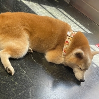 匿名