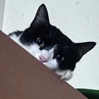 小吉