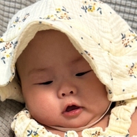 芮茜