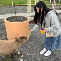 舒涵