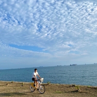 吳明叡