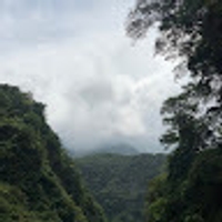 綸