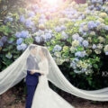 花季婚紗｜繡球花季熱門攝影景點大彙整，萬叢之中最亮眼！