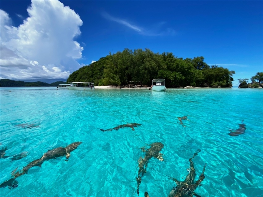 海島蜜月旅行國家推薦,帛琉蜜月