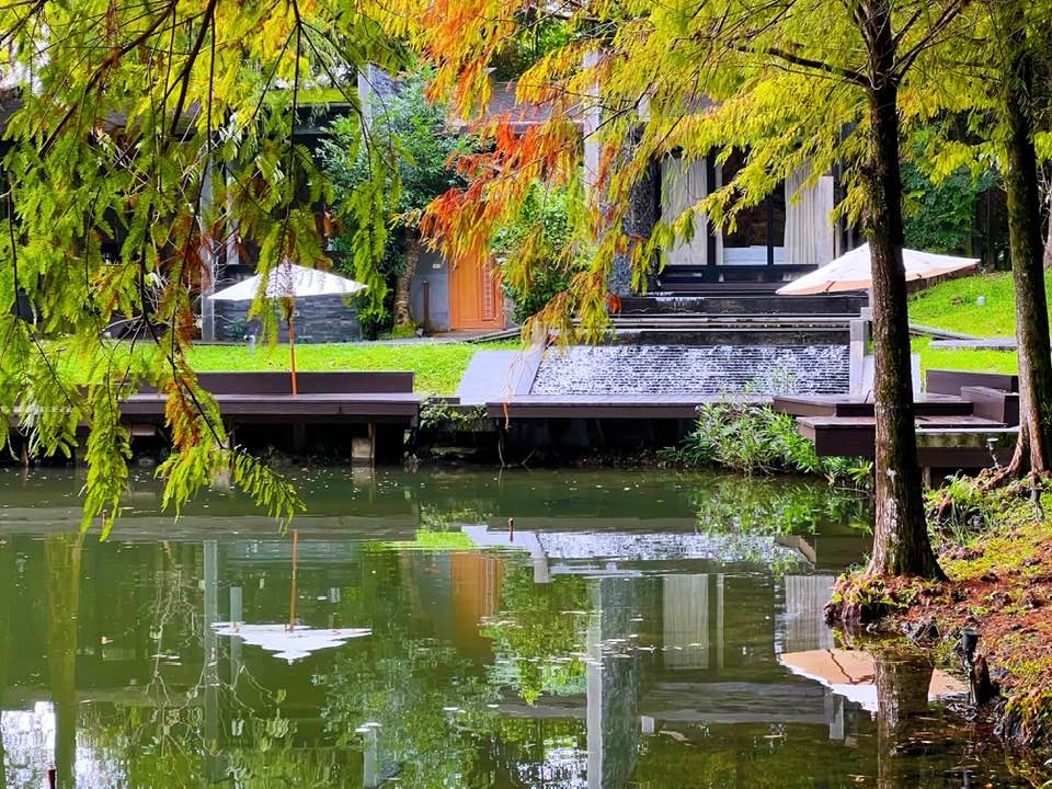 落羽松婚禮  葛莉絲莊園