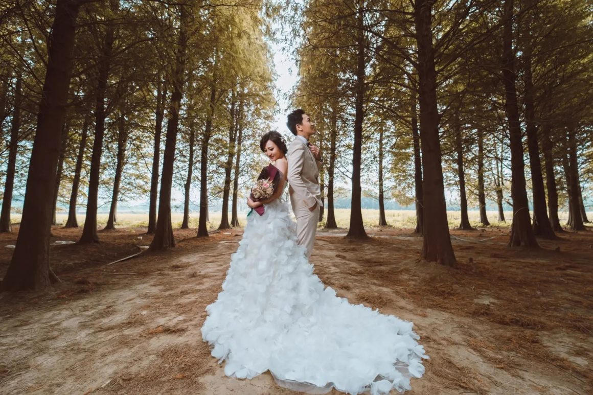 落羽松婚紗季節