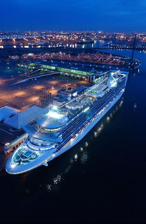 圖|pinterest_Princess Cruises
