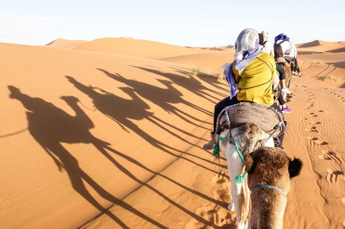 美劇,蜜月旅行推薦