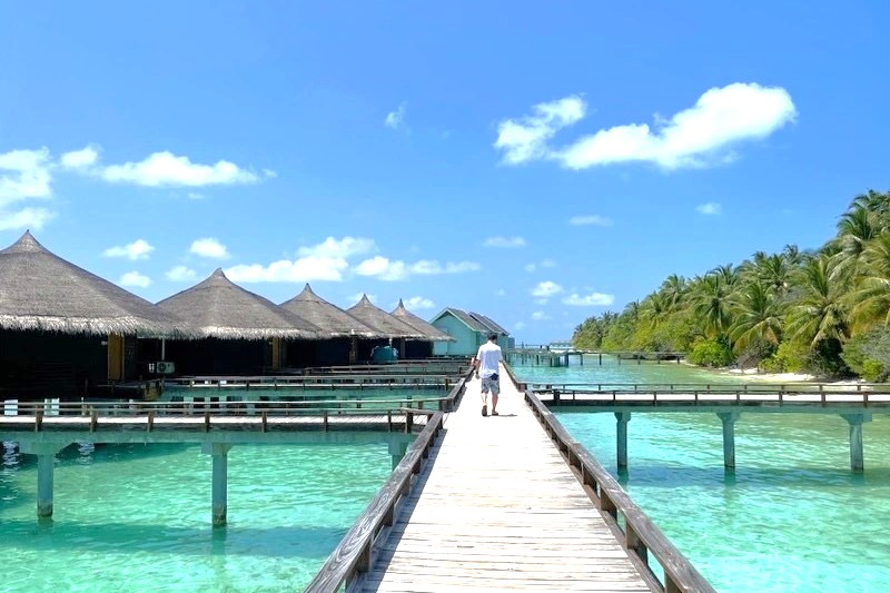 美劇,蜜月旅行推薦